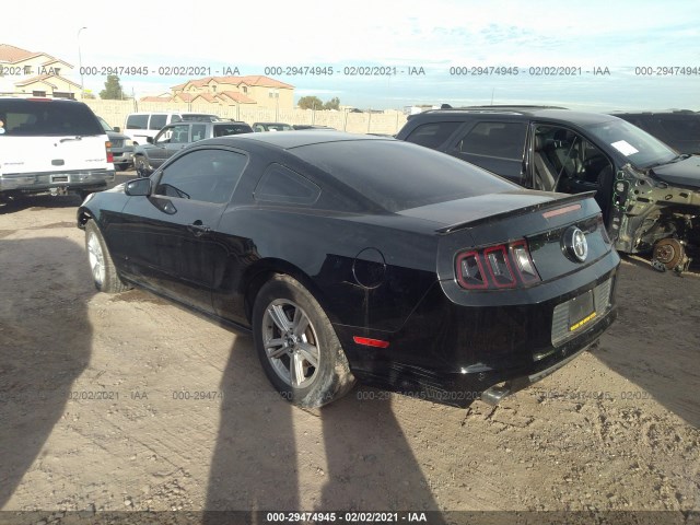 Photo 2 VIN: 1ZVBP8AM3D5239018 - FORD MUSTANG 