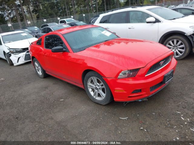 Photo 0 VIN: 1ZVBP8AM3D5248219 - FORD MUSTANG 