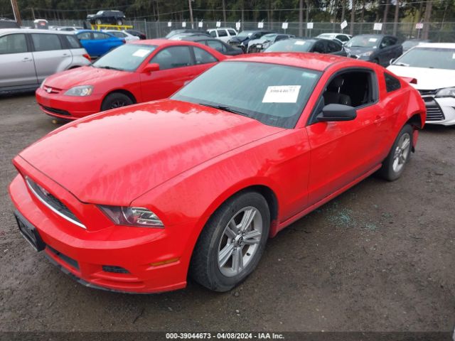 Photo 1 VIN: 1ZVBP8AM3D5248219 - FORD MUSTANG 