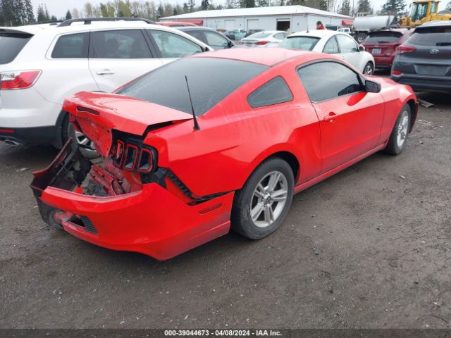 Photo 3 VIN: 1ZVBP8AM3D5248219 - FORD MUSTANG 