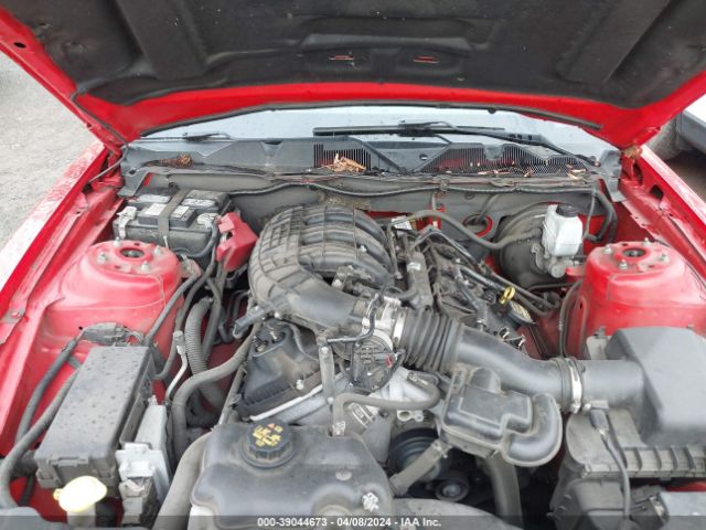 Photo 9 VIN: 1ZVBP8AM3D5248219 - FORD MUSTANG 