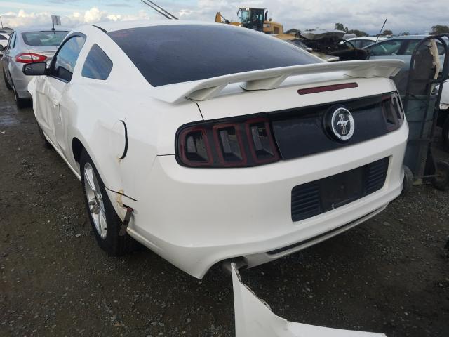 Photo 2 VIN: 1ZVBP8AM3D5259513 - FORD MUSTANG 