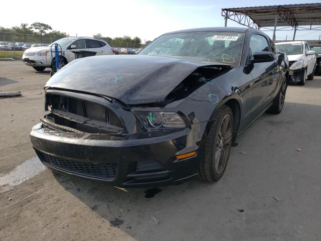 Photo 1 VIN: 1ZVBP8AM3D5261374 - FORD MUSTANG 