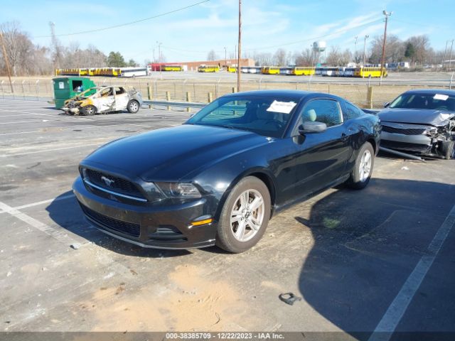 Photo 1 VIN: 1ZVBP8AM3D5273640 - FORD MUSTANG 