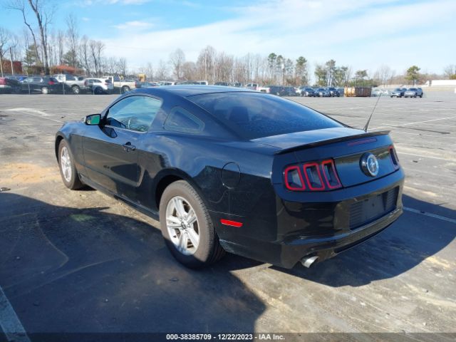 Photo 2 VIN: 1ZVBP8AM3D5273640 - FORD MUSTANG 