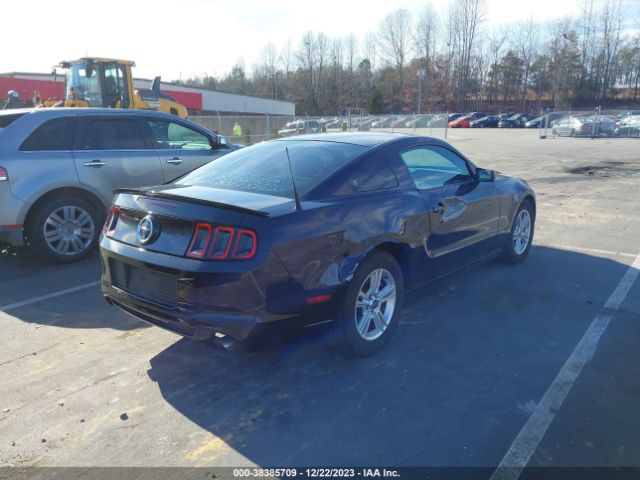 Photo 3 VIN: 1ZVBP8AM3D5273640 - FORD MUSTANG 