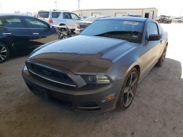 Photo 1 VIN: 1ZVBP8AM3D5274271 - FORD MUSTANG 