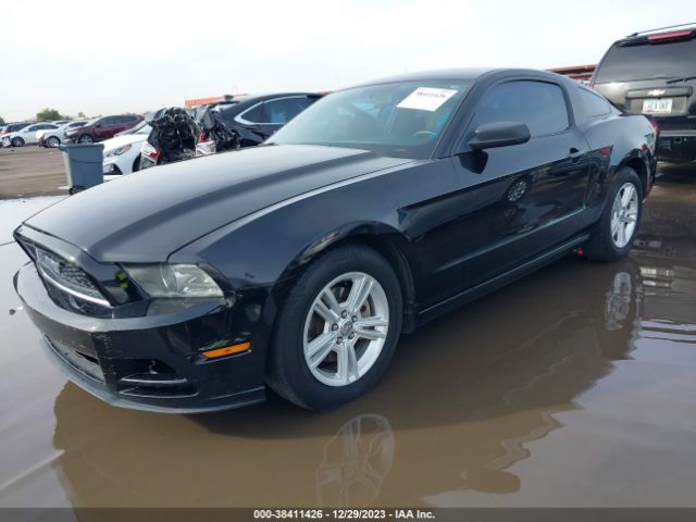 Photo 1 VIN: 1ZVBP8AM3D5276070 - FORD MUSTANG 