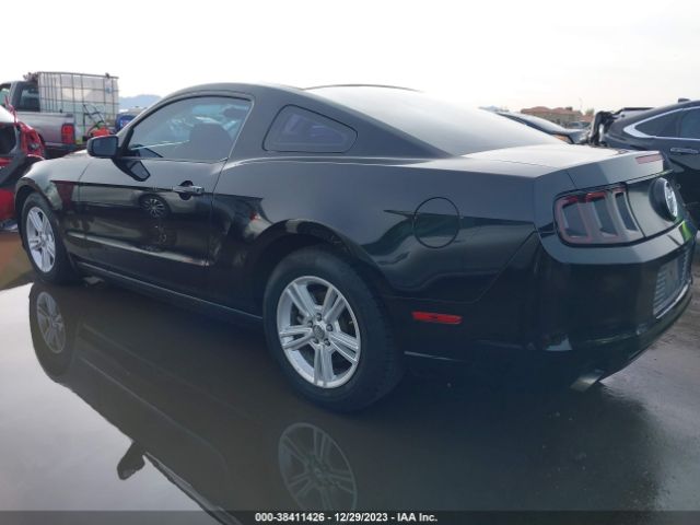 Photo 2 VIN: 1ZVBP8AM3D5276070 - FORD MUSTANG 