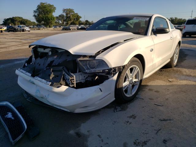 Photo 1 VIN: 1ZVBP8AM3D5276117 - FORD MUSTANG 