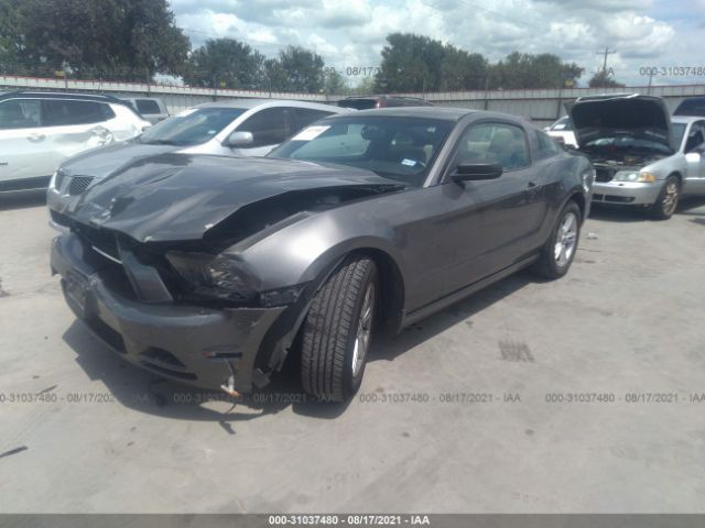 Photo 1 VIN: 1ZVBP8AM3D5278725 - FORD MUSTANG 