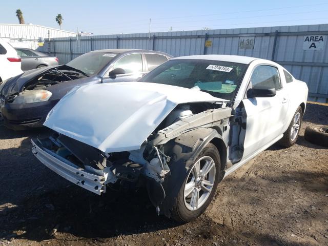 Photo 1 VIN: 1ZVBP8AM3E5215030 - FORD MUSTANG 