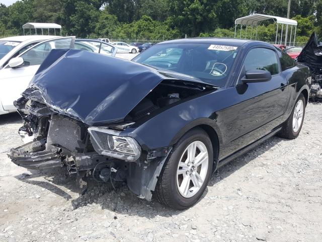 Photo 1 VIN: 1ZVBP8AM3E5219210 - FORD MUSTANG 