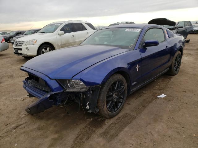 Photo 1 VIN: 1ZVBP8AM3E5225699 - FORD MUSTANG 