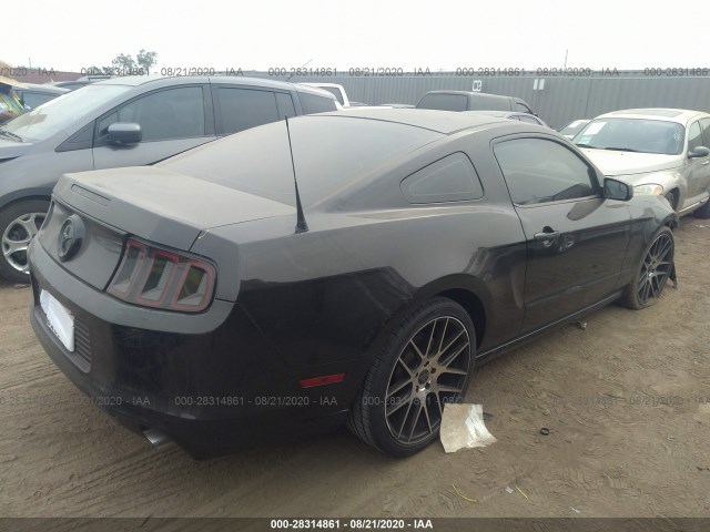 Photo 3 VIN: 1ZVBP8AM3E5233737 - FORD MUSTANG 