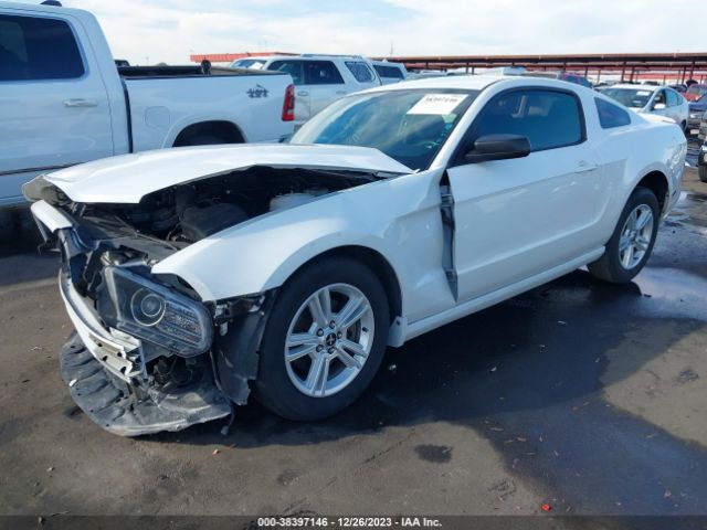 Photo 1 VIN: 1ZVBP8AM3E5239859 - FORD MUSTANG 