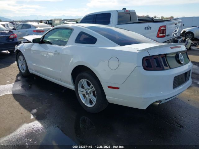 Photo 2 VIN: 1ZVBP8AM3E5239859 - FORD MUSTANG 