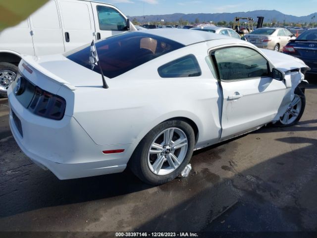 Photo 3 VIN: 1ZVBP8AM3E5239859 - FORD MUSTANG 