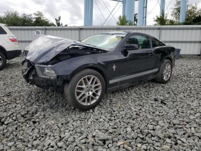 Photo 1 VIN: 1ZVBP8AM3E5255754 - FORD MUSTANG 