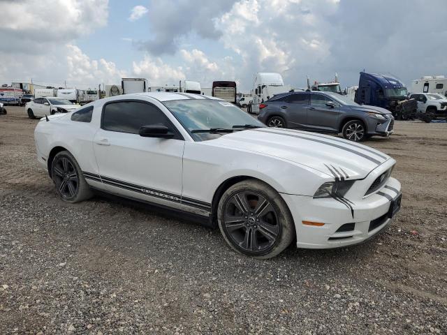 Photo 3 VIN: 1ZVBP8AM3E5261148 - FORD MUSTANG 