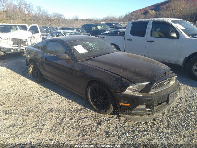 Photo 0 VIN: 1ZVBP8AM3E5263952 - FORD MUSTANG 