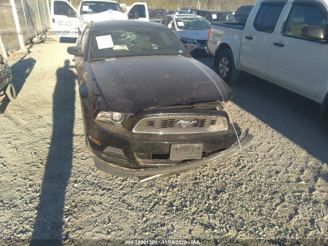 Photo 5 VIN: 1ZVBP8AM3E5263952 - FORD MUSTANG 