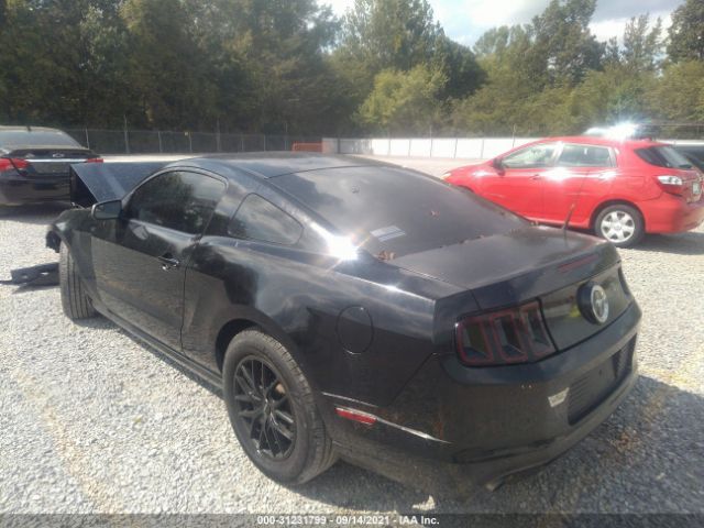 Photo 2 VIN: 1ZVBP8AM3E5273414 - FORD MUSTANG 