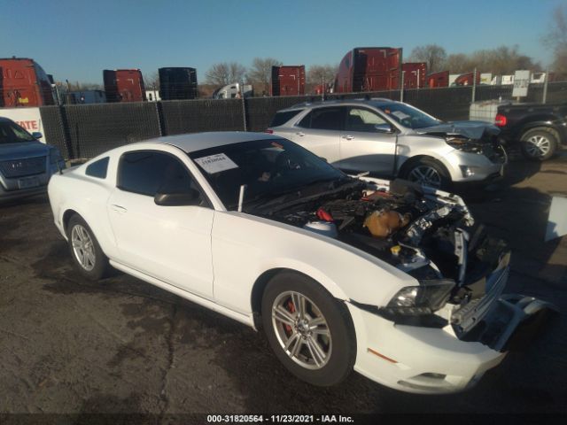 Photo 0 VIN: 1ZVBP8AM3E5274515 - FORD MUSTANG 