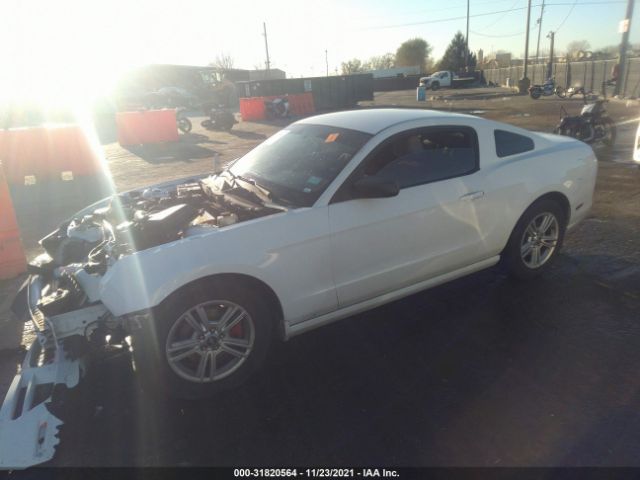 Photo 1 VIN: 1ZVBP8AM3E5274515 - FORD MUSTANG 