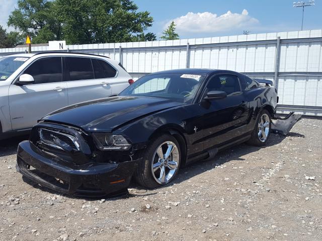 Photo 1 VIN: 1ZVBP8AM3E5286406 - FORD MUSTANG 