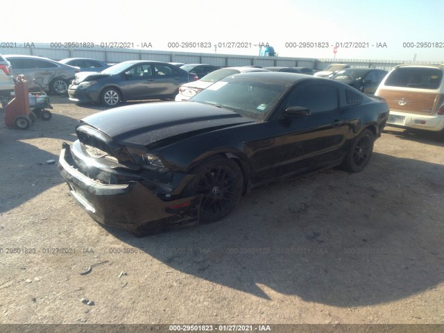 Photo 1 VIN: 1ZVBP8AM3E5298782 - FORD MUSTANG 