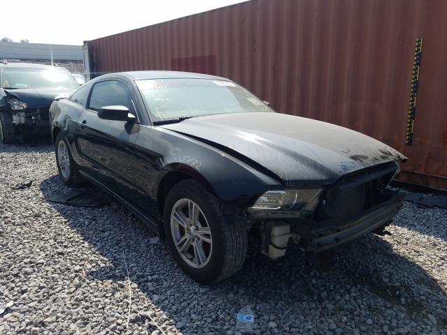 Photo 0 VIN: 1ZVBP8AM3E5299768 - FORD MUSTANG 