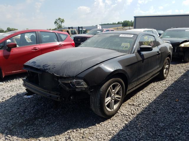 Photo 1 VIN: 1ZVBP8AM3E5299768 - FORD MUSTANG 