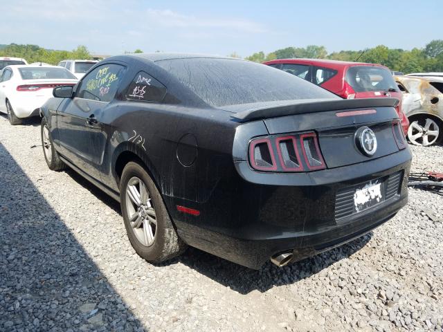 Photo 2 VIN: 1ZVBP8AM3E5299768 - FORD MUSTANG 