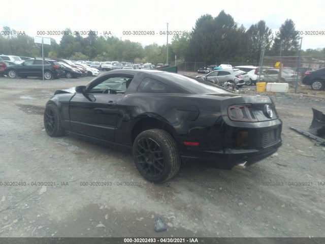 Photo 2 VIN: 1ZVBP8AM3E5302510 - FORD MUSTANG 