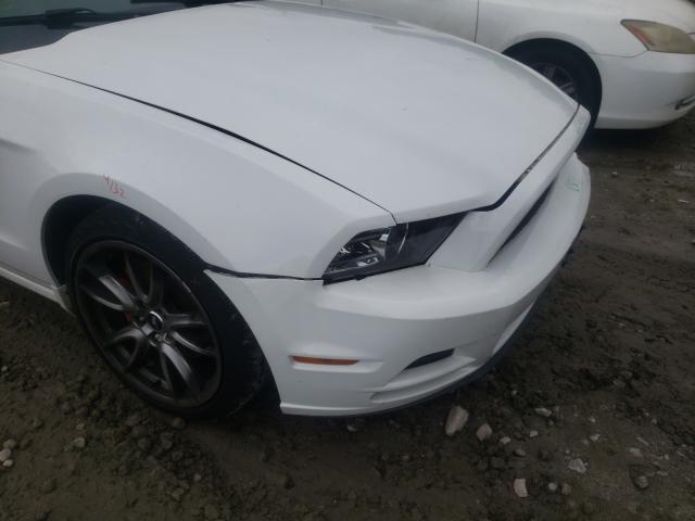 Photo 8 VIN: 1ZVBP8AM3E5303155 - FORD MUSTANG 