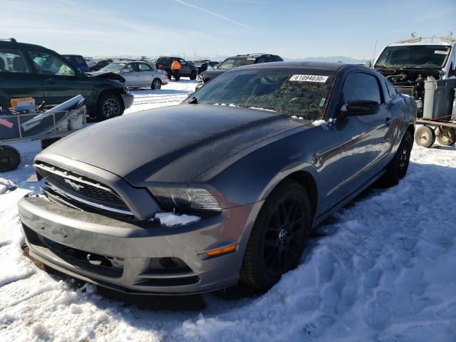 Photo 1 VIN: 1ZVBP8AM3E5304161 - FORD MUSTANG 