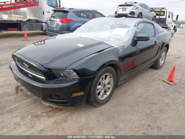 Photo 1 VIN: 1ZVBP8AM3E5315032 - FORD MUSTANG 