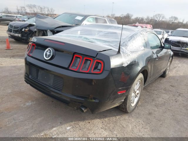 Photo 3 VIN: 1ZVBP8AM3E5315032 - FORD MUSTANG 