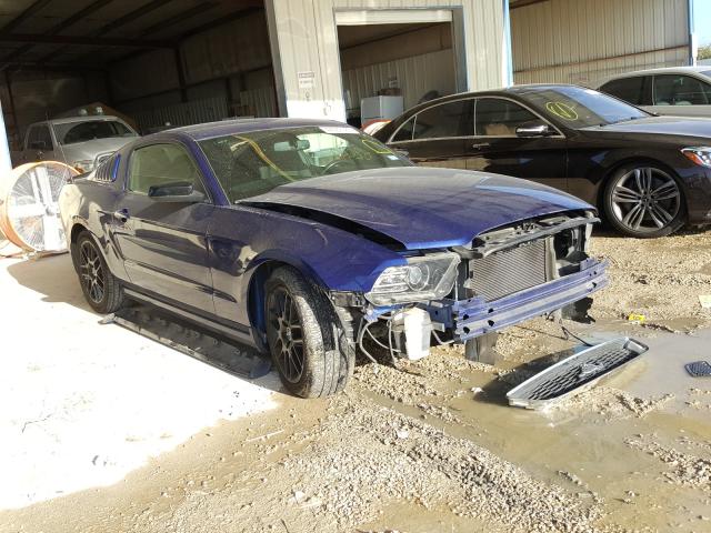 Photo 0 VIN: 1ZVBP8AM3E5320554 - FORD MUSTANG 