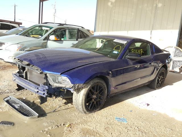 Photo 1 VIN: 1ZVBP8AM3E5320554 - FORD MUSTANG 