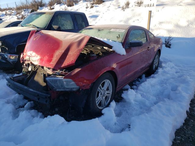 Photo 1 VIN: 1ZVBP8AM3E5321719 - FORD MUSTANG 