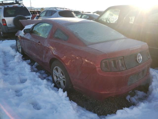 Photo 2 VIN: 1ZVBP8AM3E5321719 - FORD MUSTANG 