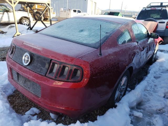 Photo 3 VIN: 1ZVBP8AM3E5321719 - FORD MUSTANG 