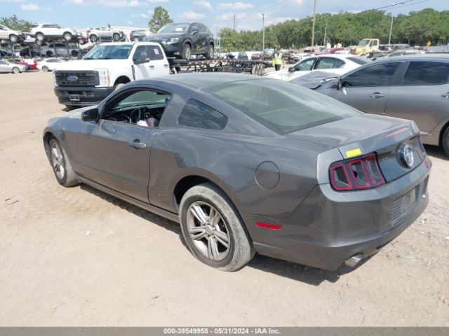 Photo 2 VIN: 1ZVBP8AM3E5328816 - FORD MUSTANG 