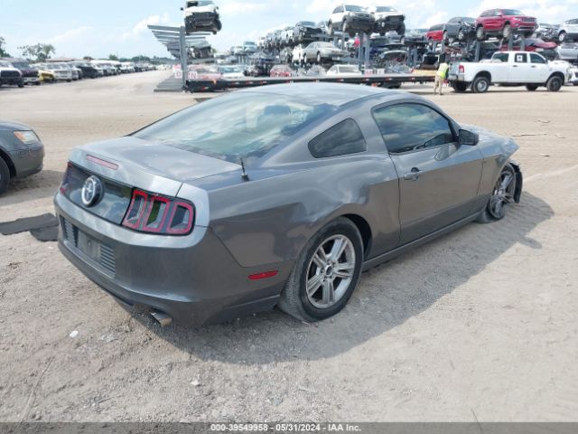 Photo 3 VIN: 1ZVBP8AM3E5328816 - FORD MUSTANG 