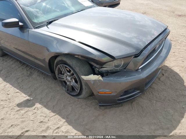 Photo 5 VIN: 1ZVBP8AM3E5328816 - FORD MUSTANG 