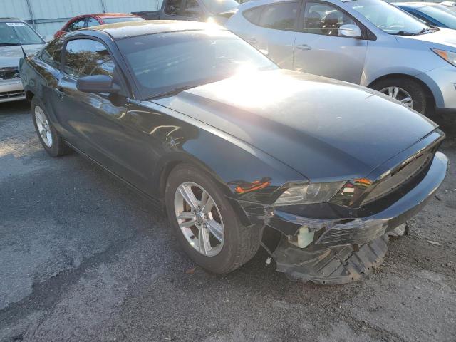 Photo 3 VIN: 1ZVBP8AM3E5330498 - FORD MUSTANG 