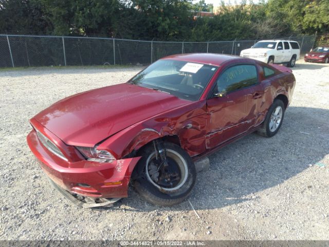 Photo 1 VIN: 1ZVBP8AM3E5331585 - FORD MUSTANG 