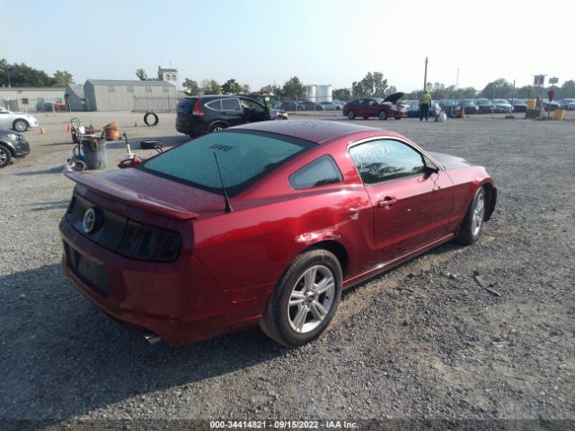 Photo 3 VIN: 1ZVBP8AM3E5331585 - FORD MUSTANG 